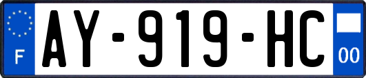 AY-919-HC