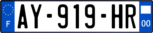 AY-919-HR