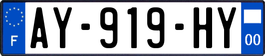 AY-919-HY
