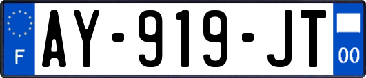 AY-919-JT