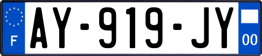 AY-919-JY