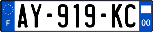 AY-919-KC