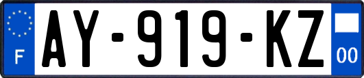 AY-919-KZ