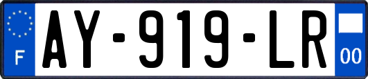 AY-919-LR