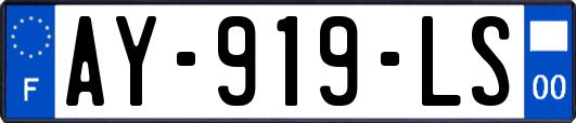AY-919-LS