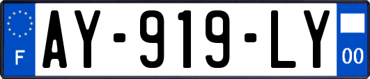 AY-919-LY
