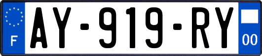 AY-919-RY