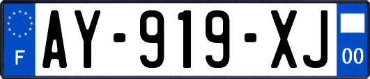 AY-919-XJ