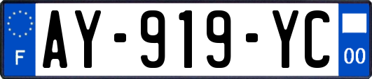AY-919-YC