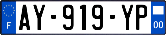 AY-919-YP