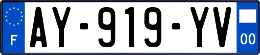 AY-919-YV