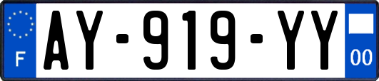 AY-919-YY
