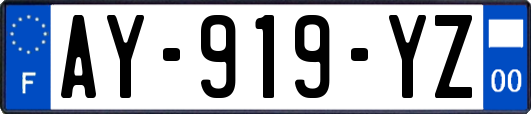 AY-919-YZ