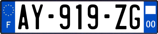 AY-919-ZG