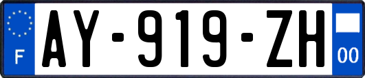 AY-919-ZH