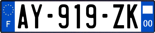 AY-919-ZK