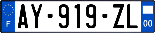 AY-919-ZL