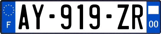 AY-919-ZR