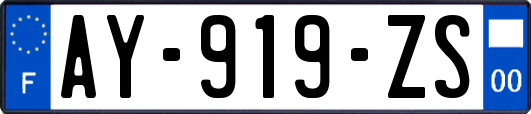 AY-919-ZS