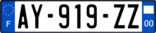 AY-919-ZZ