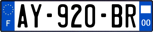 AY-920-BR