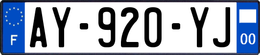 AY-920-YJ