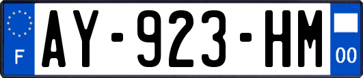 AY-923-HM