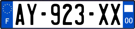 AY-923-XX