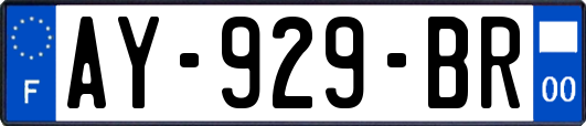 AY-929-BR