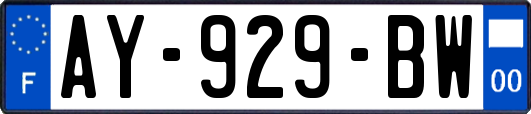 AY-929-BW