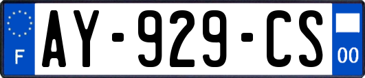 AY-929-CS