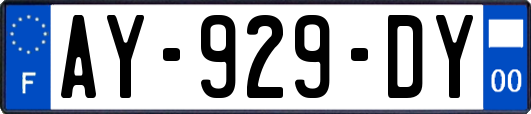 AY-929-DY