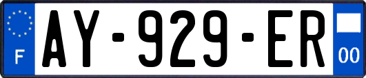AY-929-ER