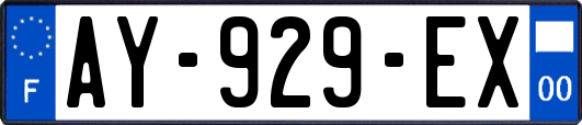 AY-929-EX