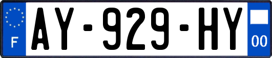AY-929-HY
