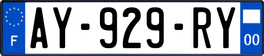 AY-929-RY