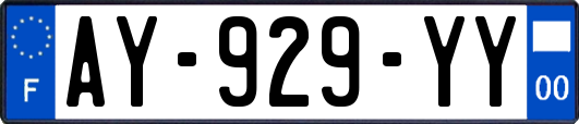 AY-929-YY