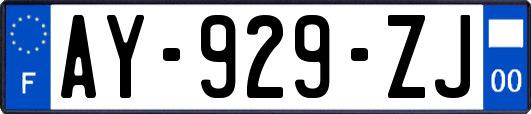 AY-929-ZJ