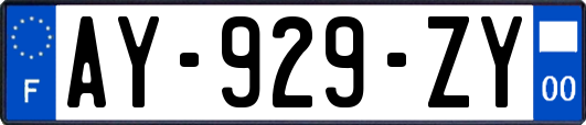 AY-929-ZY