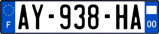 AY-938-HA