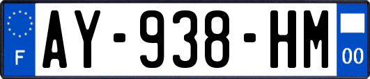 AY-938-HM