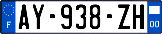 AY-938-ZH