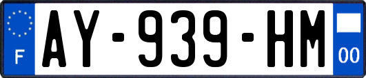 AY-939-HM