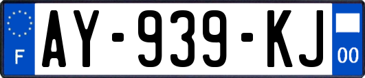 AY-939-KJ