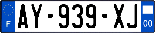 AY-939-XJ