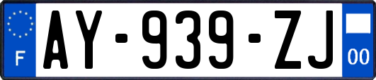 AY-939-ZJ