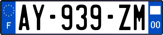 AY-939-ZM