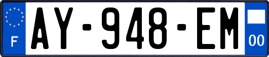 AY-948-EM