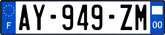 AY-949-ZM