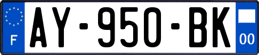 AY-950-BK